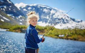 Signegarden - Midt I Fjellheimen - Tett Pa Fjord-Norge